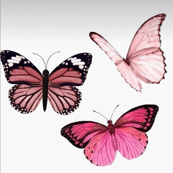 Meet your Posher, Sofia - Picture 1 of 1